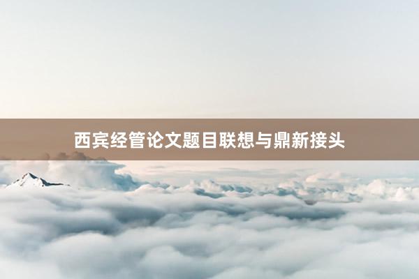 西宾经管论文题目联想与鼎新接头