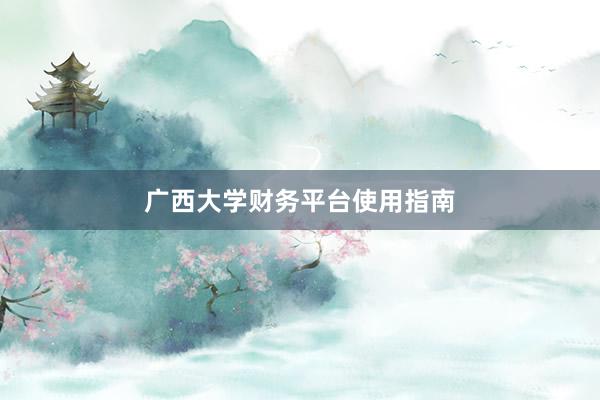 广西大学财务平台使用指南